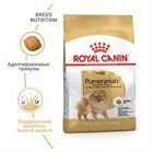 НОВИНКА ОТ ROYAL CANIN: корм для собак породы померанский шпиц НОВИНКА ОТ ROYAL CANIN: корм для собак породы померанский шпиц