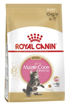 ROYAL CANIN Для котят мейн-кун (4-12 мес.), Kitten Мaine Coon - фото 11259