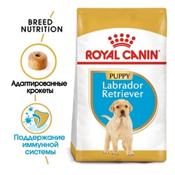 ROYAL CANIN Для щенков лабрадора до 15 мес., Labrador Retriever Puppy - фото 36628