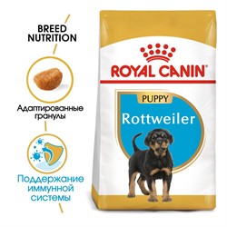 ROYAL CANIN Для щенков ротвейлера от 2 до 18 мес., Rottweiler Junior 31 - фото 36752
