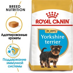 ROYAL CANIN Корм сухой для  щенков породы йоркширский терьер в возрасте до 10 месяцев - фото 40098