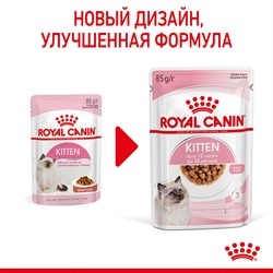 ROYAL CANIN Кусочки в соусе для котят: 4-12 мес., Kitten Instinctive - фото 40876