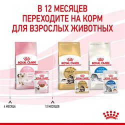 ROYAL CANIN Кусочки в соусе для котят: 4-12 мес., Kitten Instinctive - фото 40882