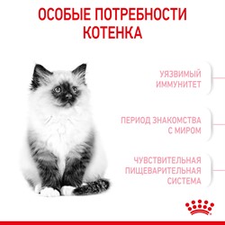 Royal Canin Kitten сухой корм для котят от 4 до 12 мес. - фото 40892