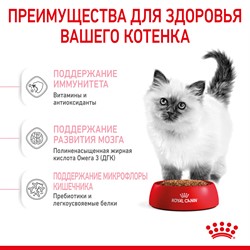 Royal Canin Kitten сухой корм для котят от 4 до 12 мес. - фото 40893