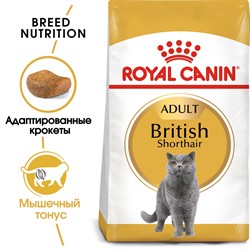 ROYAL CANIN Для британских короткошерстных кошек (1-10 лет), British Shorthair - фото 40948