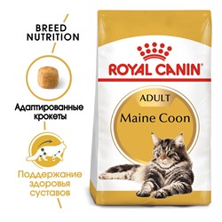 ROYAL CANIN Для кошек мейн-кун 1-10 лет, Мaine Coon 31 - фото 41779