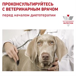 ROYAL CANIN Для собак с пищевой аллергией, Hypoallergenic DR 21 - фото 44617