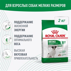 Royal Canin Mini Adult 8+ для взрослых собак мелких размеров (до 10 кг) старше 8 лет - фото 44866