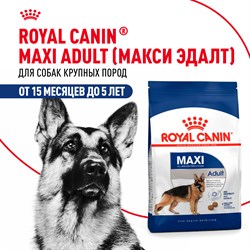 Корм сухой Royal Canin Maxi Adult для взрослых собак крупных размеров - фото 46991