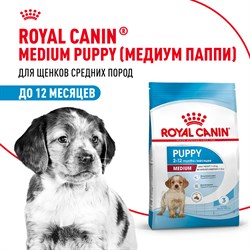 Корм для собак Royal Canin Medium Puppy Корм сухой для щенков средних размеров до 12 месяцев - фото 47032