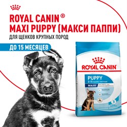 Корм для собак Royal Canin Maxi Puppy Корм сухой для щенков крупных размеров до 15 месяцев - фото 47174