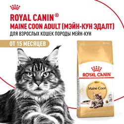 Корм для кошек Royal Canin Maine Coon Adult Корм сухой сбалансированный для взрослых кошек породы Мэйн Кун, - фото 47393