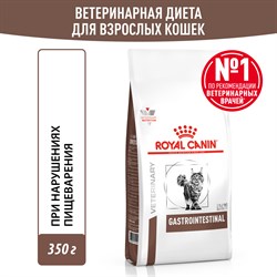 Royal Canin GASTROINTESTINAL (ГАСТРОИНТЕСТИНАЛ) Корм сухой полнорационный диетический  для взрослых кошек, применяемый при острых расстройствах пищеварения, в реабилитационный период и при истощении. Ветеринарная диета - фото 47465