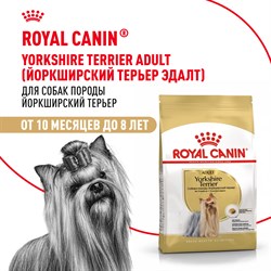 ROYAL CANIN (Роял Канин) Для взрослого йоркширкого терьера с 10 мес., Yorkshire Terrier 28 - фото 48571