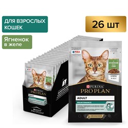 PRO PLAN® MAINTENANCE для взрослых кошек, с ягненком в желе, 85 г x 26 шт. - * - фото 53592