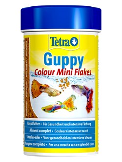 TetraGuppy Colour корм для гуппи для улучшения окраса 100 мл - фото 55856