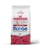 Monge Cat Monoprotein корм для котят с говядиной