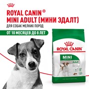 ROYAL CANIN Роял Канин Для взрослых собак малых пород: до 10 кг, 10 мес. - 8 лет, Mini Adult