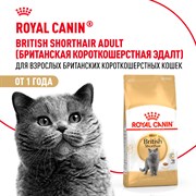 Корм сухой сбалансированный Royal Canin British Shorthair Adult для взрослых британских короткошерстных кошек