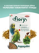 FIORY корм для волнистых попугаев Pappagallini 1 кг