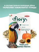 FIORY корм для крупных попугаев Pappagalli 700 г