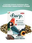 FIORY корм для средних попугаев Parrocchetti African 800 г