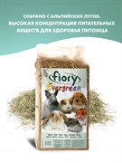 FIORY сено Evergreen 1 кг (30 л)