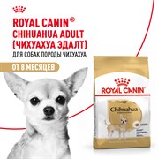 Royal Canin сухой корм  для взрослого чихуахуа с 8 мес., Chihuahua 28 