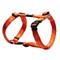Rogz Шлейка серия "Alpinist", оранжевый - фото 22738