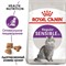 ROYAL CANIN Для кошек с чувствительным пищеварением (1-7 лет), Sensible 33 - фото 26735