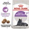 ROYAL CANIN Для пожилых кастрированных кошек (7-12 лет), Sterilized +7 - фото 26739