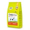 Dailydog ADULT SMALL BREED Turkey and Rice  корм для взрослых собак мелких пород с индейкой и рисом - фото 27855