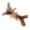"GiGwi"   Плетеный мячик с колокольчиком и перьями, перо, 13 см - фото 29599