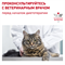 ROYAL CANIN (Роял Канин) Для кошек Лечение ЖКТ, Gastro Intestinal GI-32 - фото 41695