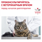 ROYAL CANIN (Роял Канин) GASTRO INTESTINAL MODERATE CALORIE - фото 41705