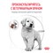 Royal Canin GASTROINTESTINAL PUPPY (ГАСТРОИНТЕСТИНАЛ ПАППИ) Корм сухой полнорационный диетический для щенков, рекомендуемый при расстройствах пищеварения. - фото 44850