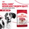 Корм для собак Royal Canin Medium Adult Корм сухой для взрослых собак средних размеров - фото 47071