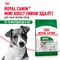 ROYAL CANIN Роял Канин Для взрослых собак малых пород: до 10 кг, 10 мес. - 8 лет, Mini Adult - фото 47148