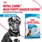 Корм для собак Royal Canin Maxi Puppy Корм сухой для щенков крупных размеров до 15 месяцев - фото 47174