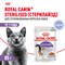 Корм консервированный Royal Canin Sterilised для взрослых кошек в желе 28х0,085кг - фото 47316