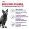 Корм для стерилизованных кошек Royal Canin Sterilised 7+ Корм сухой сбалансированный - фото 47354