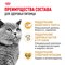 Корм сухой сбалансированный Royal Canin British Shorthair Adult для взрослых британских короткошерстных кошек - фото 47385