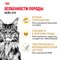 Корм для кошек Royal Canin Maine Coon Adult Корм сухой сбалансированный для взрослых кошек породы Мэйн Кун, - фото 47394