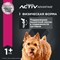 Корм для взрослых собак мелких пород Eukanuba Adult Small Breed 1+ years сухой, 800 г - фото 47456