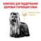 Royal Canin Yorkshire Terrier Adult 8+ Корм сухой для стареющих собак породы Йоркширский Терьер от 8 лет - фото 51154