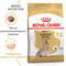 Royal Canin Yorkshire Terrier Adult 8+ Корм сухой для стареющих собак породы Йоркширский Терьер от 8 лет - фото 51156