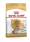 Royal Canin Yorkshire Terrier Adult 8+ Корм сухой для стареющих собак породы Йоркширский Терьер от 8 лет - фото 51158