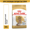 Royal Canin Yorkshire Terrier Adult 8+ Корм сухой для стареющих собак породы Йоркширский Терьер от 8 лет - фото 51159