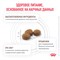 Royal Canin GASTROINTESTINAL MODERATE CALORIE (ГАСТРОИНТЕСТИНАЛ МОДЕРЕЙТ КЭЛОРИ) Корм сухой для кошек, склонных к набору веса, при расстройствах пищеварения - фото 51628